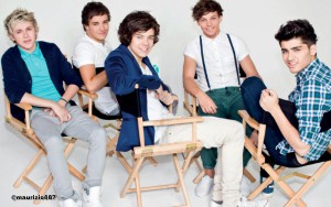 one-direction-the-official-annual-2013-one-direction-3258842.jpg
